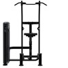 Impulse Weight Assisted Chin/Dip IT9520