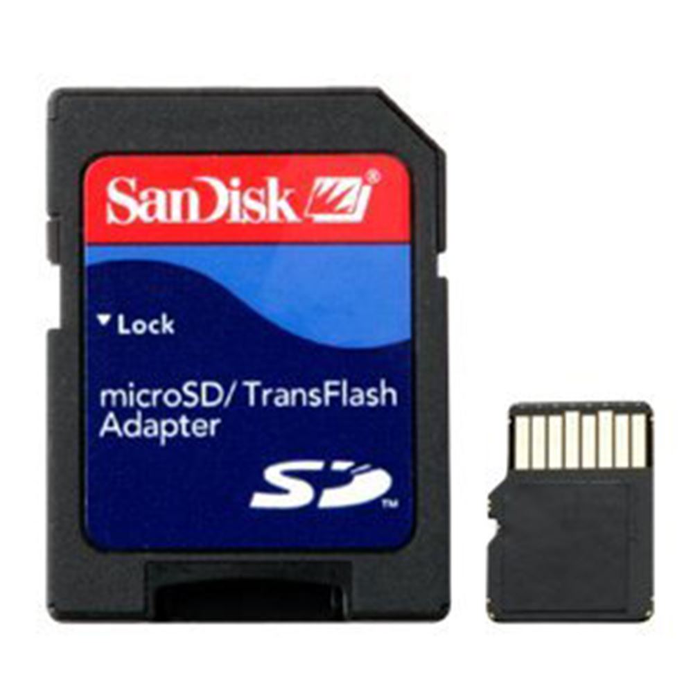 Garmin 4 GB microSDT Class 4 Card with SDT Adapter