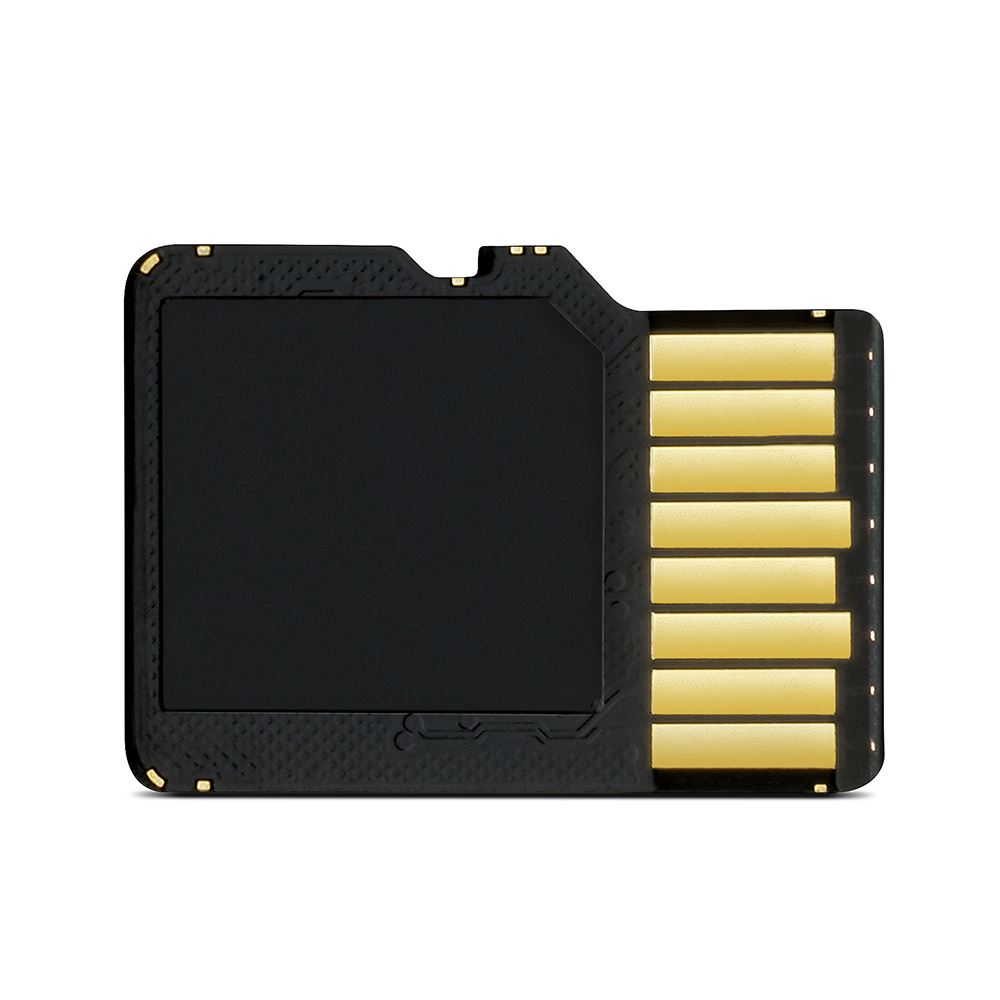 Garmin 8 GB microSDT Class 4 Card with SD Adapter