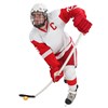 vidaXL Rebounder för ishockey 65 cm