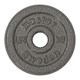 Master Fitness Vektskive 25 mm, Vektskiver Jern