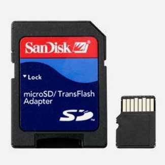 Garmin 4 GB microSDT Class 4 Card with SDT Adapter