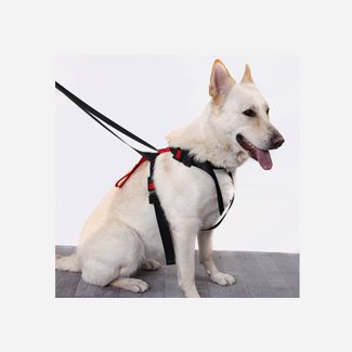 Artfex Artfex Dog Harness Large hundsäkerhetsbälte