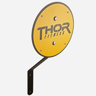 Thor Fitness TF Crossfit Rigg Wallball Target
