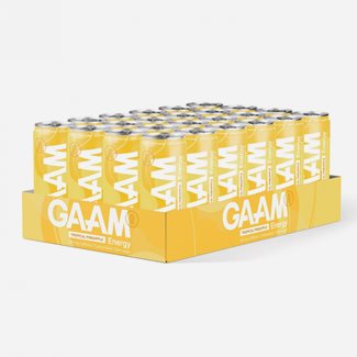 GAAM 24 x GAAM Energy, 330 ml, Energidryck