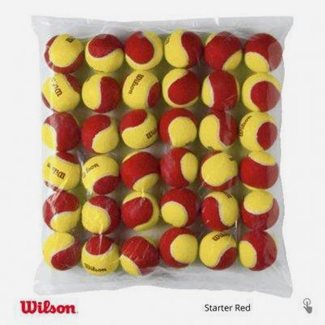 Wilson Starter Red (36-Pack), Tennisballer