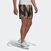 Adidas Primeblue "7 Inch Printed Shorts, Padel- og tennisshorts herre