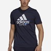 Adidas Tennis Graphic Logo, Padel- og tennis T-skjorte herre