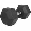 Gorilla Sports Hexagon Dumbbells 237 kg ink Håndvægtstativ