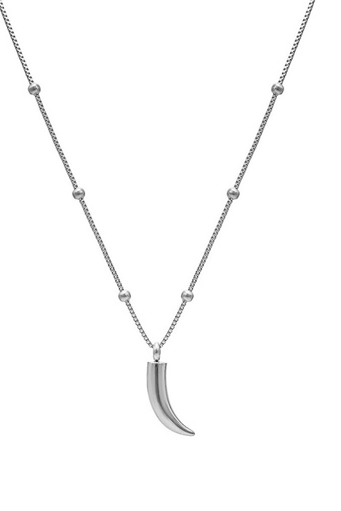 Horn Long Necklace