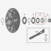 Shimano Sprocket Wheel 10Tb/12Td 12Spd C