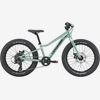 Barncykel Cannondale Trail Plus 20 Grön