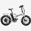 Elcykel RAWBIKE 250E Snowstorm