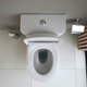 Toalettstol Duravit Qatego 202109 Rimless med Mjukstängande Hårdsits