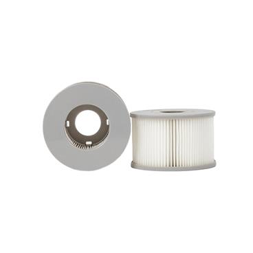 Filter MSpa Comfort 2-pack