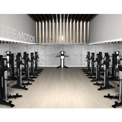 Freemotion Fusion Cst, Multigym