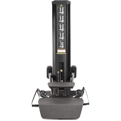 Freemotion Genesis Step, Multigym
