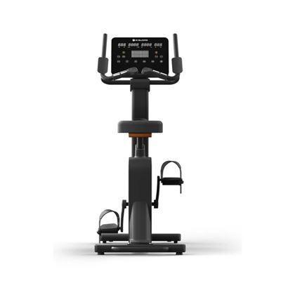 Skelcore SK Upright Bike
