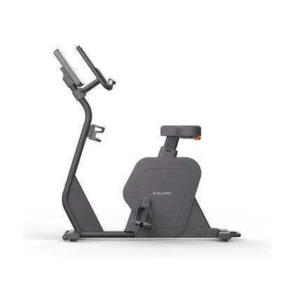 Skelcore SK Upright Bike