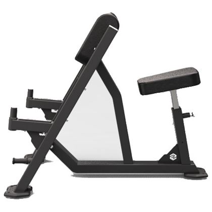 Skelcore Preacher Bench