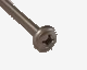 Kona One screw for fin (M6*50 mm)