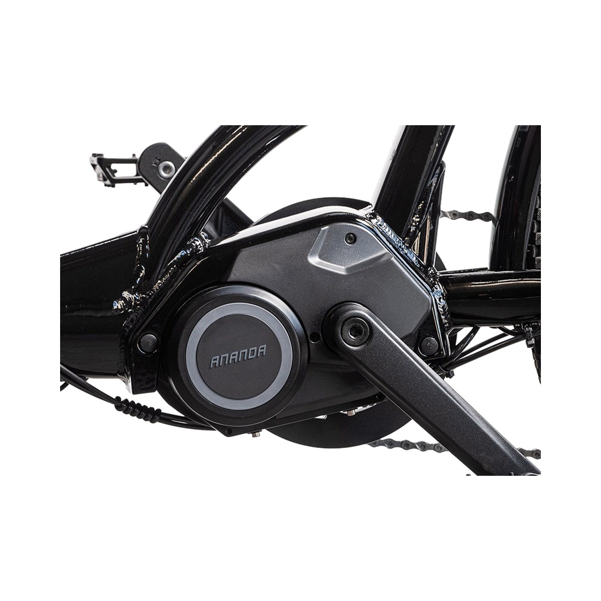 Motor Ananda M100 250W 110Nm