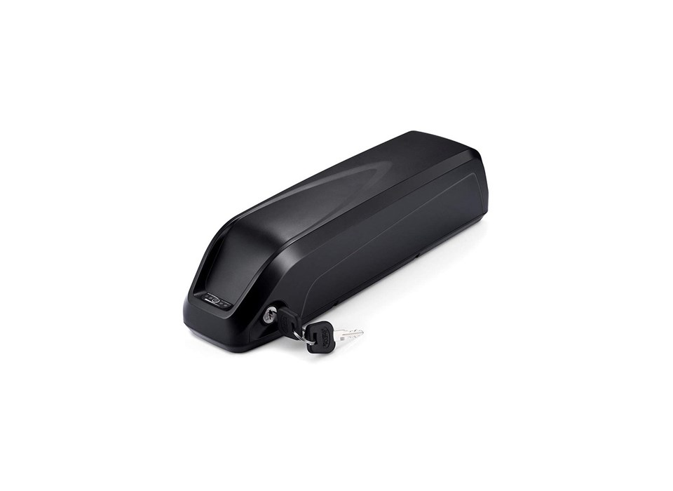Batteri 16Ah Delight 1-pin