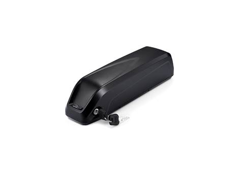 Batteri 16Ah Delight 1-pin