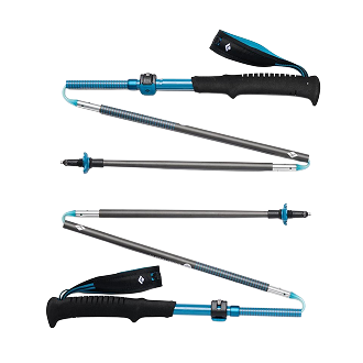 Walking Sticks