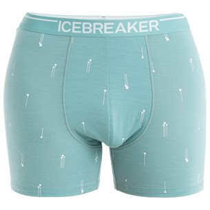 Icebreaker M Mer Anatomica Boxers Palm Trail AOP