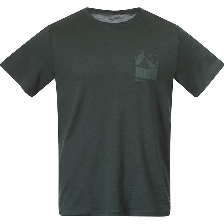 Bergans Rabot Mount Wool Tee Men Duke Green