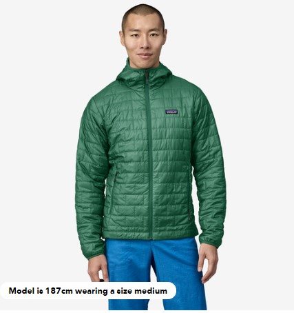 Patagonia M’s Nano Puff Hoody Conifer Green