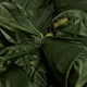 Haglöfs Scand Down +5 Olive Green/Magnetite