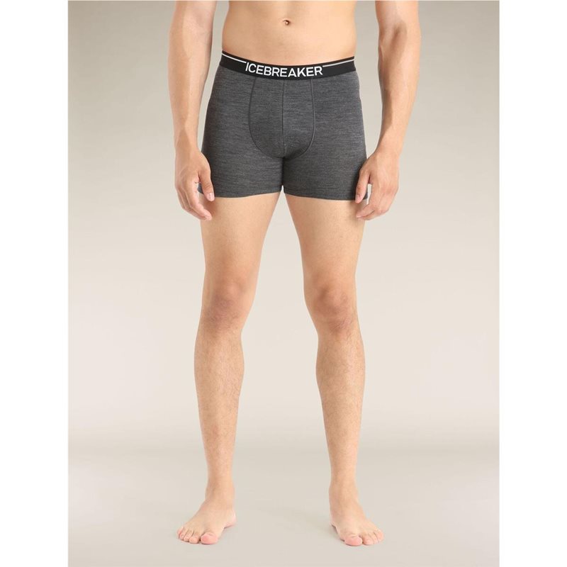 Icebreaker Anatomica Boxers Mens Green