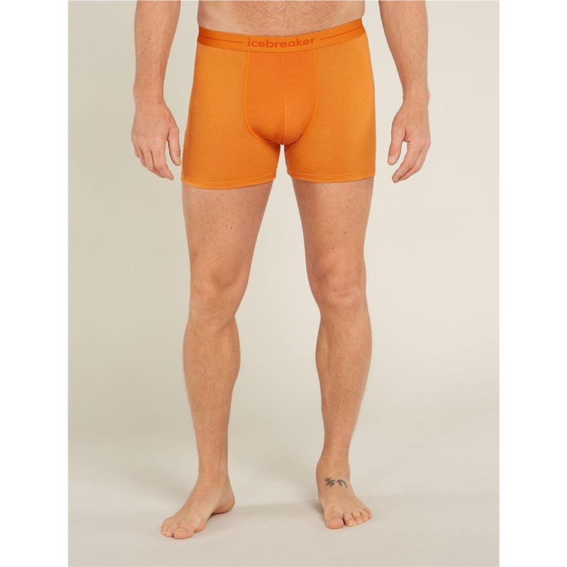 Icebreaker M Anatomica Boxerss Ray