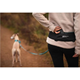 Non-stop dogwear Rush belt Black/Teal