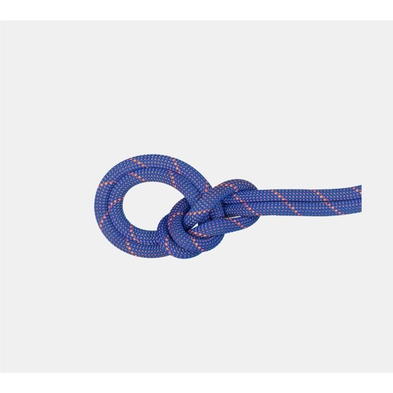 Mammut 9.0 Crag Sender Dry Rope 70m