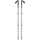 Black Diamond Trail Trekking Poles Pine Smoke