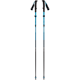 Black Diamond Distance Carbon FlzPoles Desert Sky