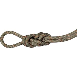 Mammut 9.9 Gym Workhorse Classic Rope 50m