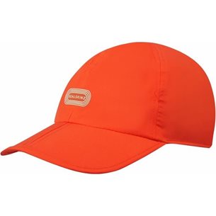 Sealskinz Wymondham Orange