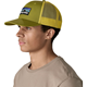 Patagonia P-6 Logo Trucker Hat Graze Green