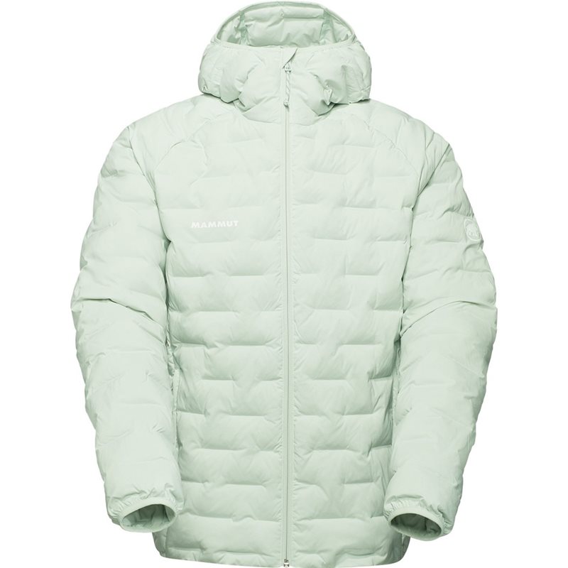 Mammut Sender IN Hooded Jacket Men Silver Sage