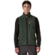 Patagonia M's Retro Pile Vest Old Growth Green