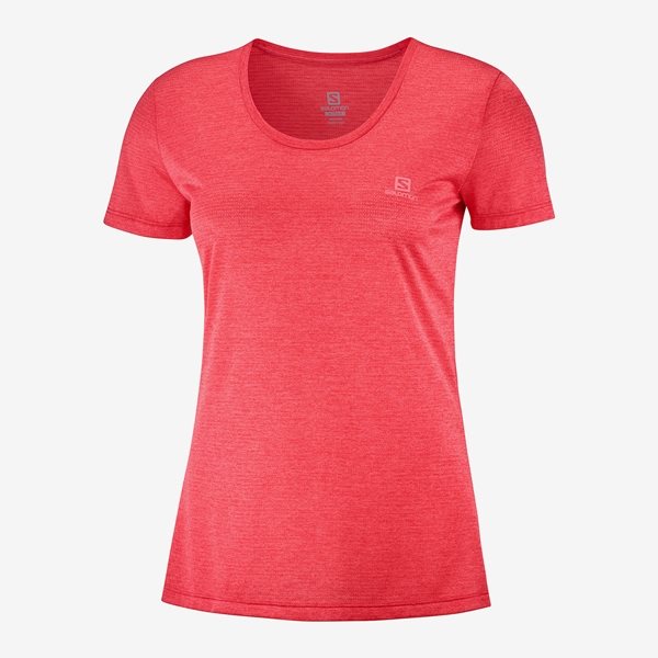 Salomon Agile SS Tee W Cayenne/Heather