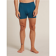 Icebreaker M Merino 150 Anatomica Boxers Atlantis