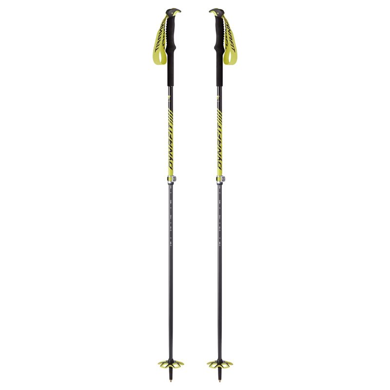 Dynafit Unisex Free Vario Pole