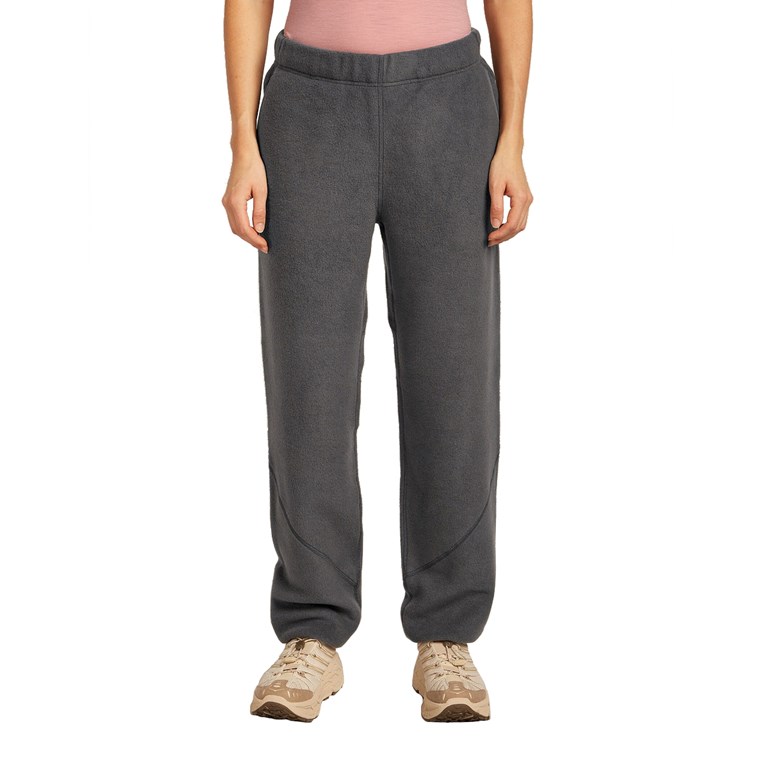 Icebreaker Women Merino Blend 800 RealFleeceT Classic Pile Pants