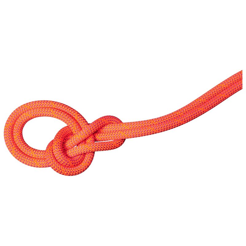 Mammut 9.8 Crag Dry Rope 70m