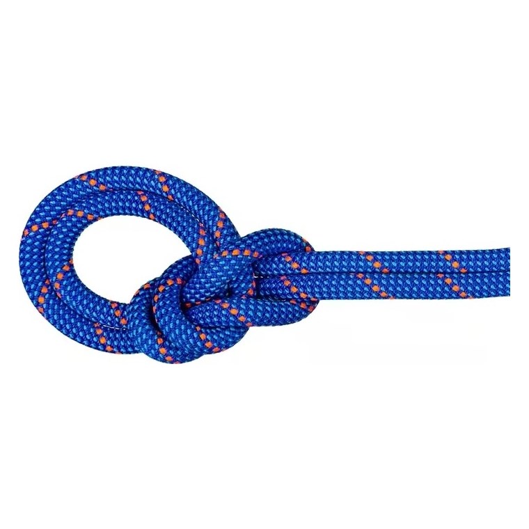 Mammut 9.5 Crag Dry Rope 60m